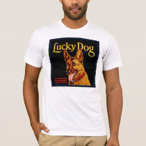 Lucky Dog