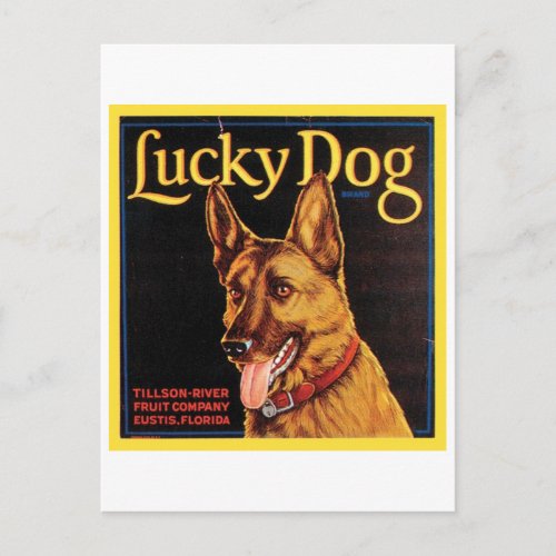 Lucky Dog Vintage Crate Label Postcard