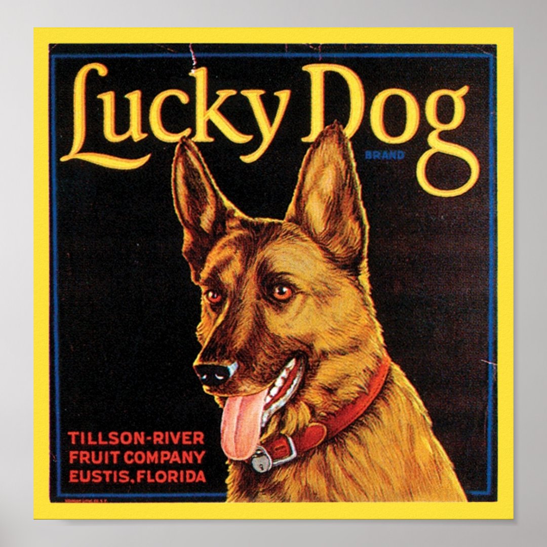 Photo inspiration: Pet Crate Label Custom Reference: Lucky Dog Vintage Crate Label Poster