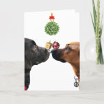 Lucky Dogs Holiday Card<br><div class="desc">To each his own. A fun holiday to celebrate Hannukah,  Christmas,  and New Year

https://www.zazzle.com/lucky_dogs_holiday_card-256840964010976899/
https://cathyhulloriginals.com*</div>