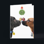 Lucky Dogs Holiday Card<br><div class="desc">To each his own. A fun holiday to celebrate Hannukah, Christmas, and New Year
https://www.zazzle.com/lucky_dogs_holiday_card-256886739678263365
https://cathyhulloriginals.com*</div>