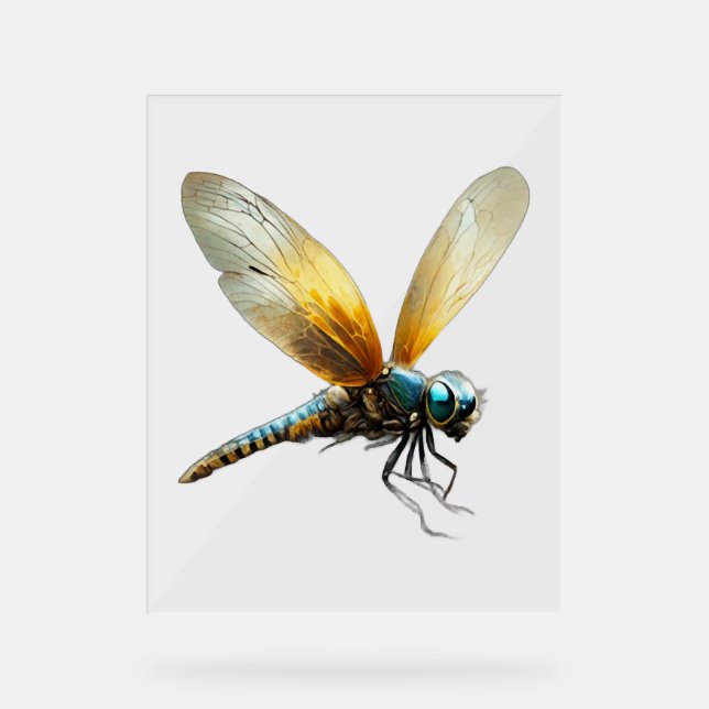 Lucky Dragonfly Acrylic Sign (Front)