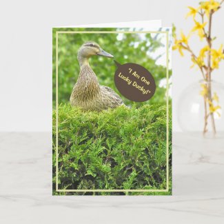 LUCKY DUCKY/GOT YOU FOR A DAD/DUCK ON TOP OF HEDGE