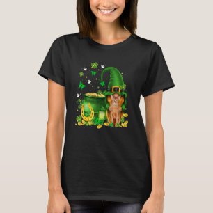 Lucky Gnome U2013 Gnome Hug Abyssinian Cat St Patr T-Shirt