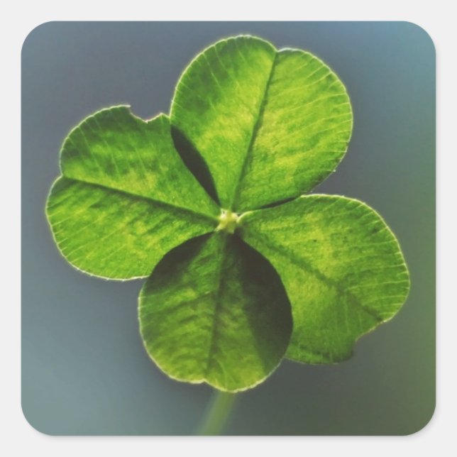 Lucky Green Clover Square Sticker (Front)