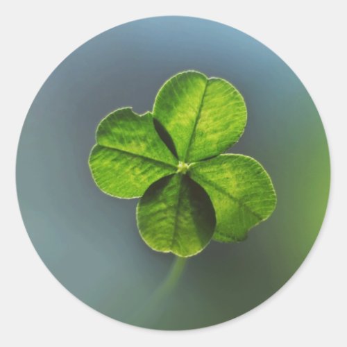 Lucky Green Four Leaf Clover Classic Round Sticker