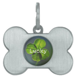 Lucky Green Four Leaf Clover Pet ID Tag