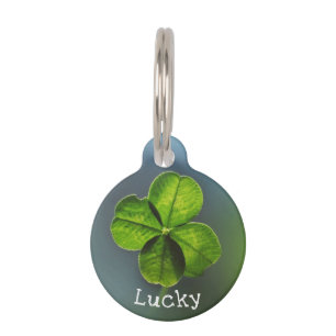 Lucky Green Four Leaf Clover Pet ID Tag