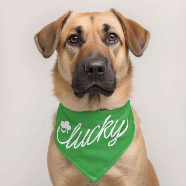 Lucky Green Script St Patricks Day Pet Bandana Collar (Dog 2)