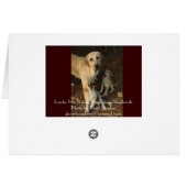 lucky hit collage (Back Horizontal)