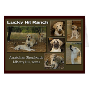 lucky hit collage cards