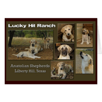 lucky hit collage cards