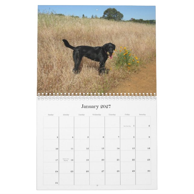 Lucky Hounds Labrador Retriever Calendar 2013 (Jan 2027)