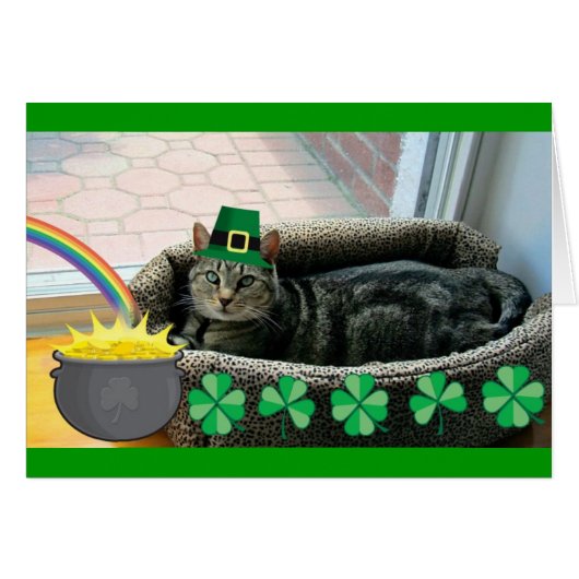 Lucky Irish Indigo Cards (Front Horizontal)