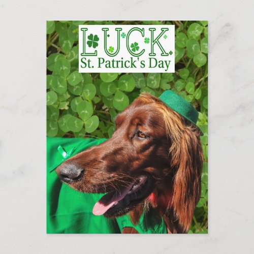 Lucky Irish Setter St Patricks Day Postcard