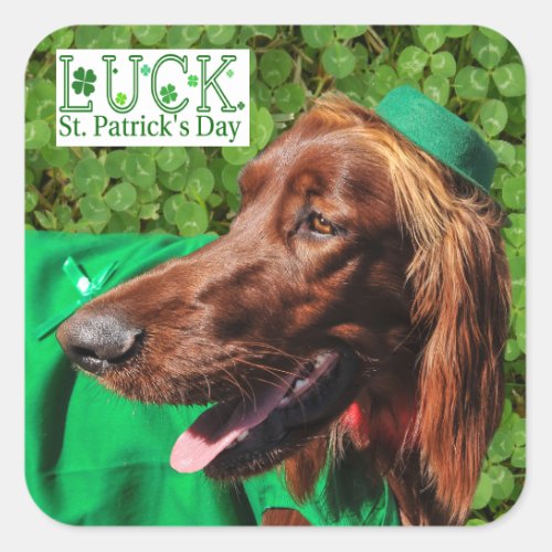 Lucky Irish Setter St Patricks Day Stickers