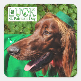 Lucky Irish Setter St. Patrick's Day Stickers