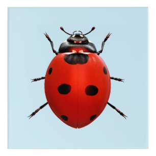 Lucky Ladybug Acrylic Print