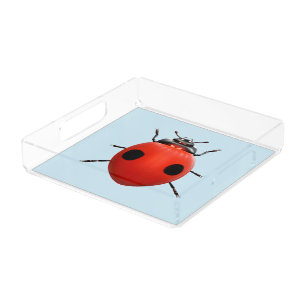 Lucky Ladybug Acrylic Tray