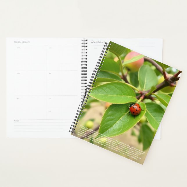 Lucky Ladybug Calendar Planner (Display)