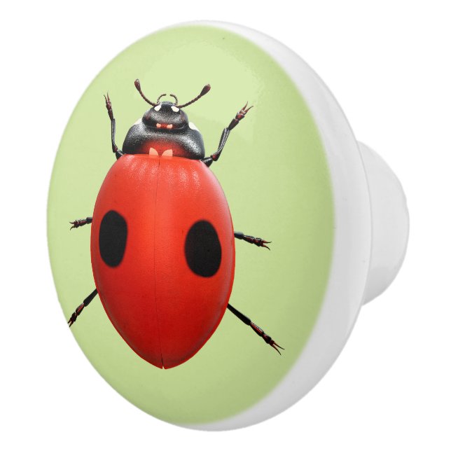 Lucky Ladybug Ceramic Knob (Right)