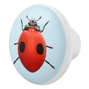 Lucky Ladybug Ceramic Knob