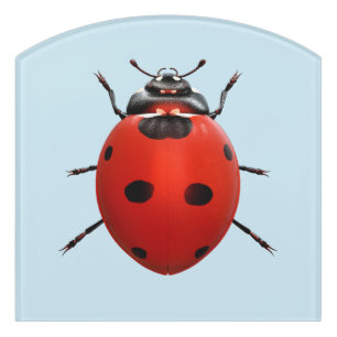 Lucky Ladybug Door Sign