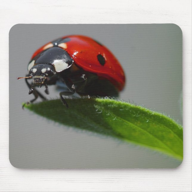 Lucky Ladybug Lovers gifts Mouse Pad (Front)