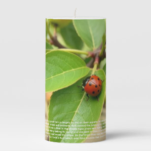 Lucky Ladybug Pillar Candle