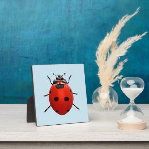 Lucky Ladybug Plaque