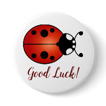 Lucky Ladybug Red Orange Black Ladybird Good Luck