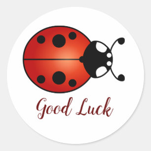 Lucky Ladybug Red Orange Black Ladybird Good Luck Classic Round Sticker