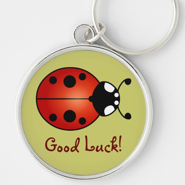 Lucky Ladybug Red Orange Black Ladybird Good Luck Keychain (Front)