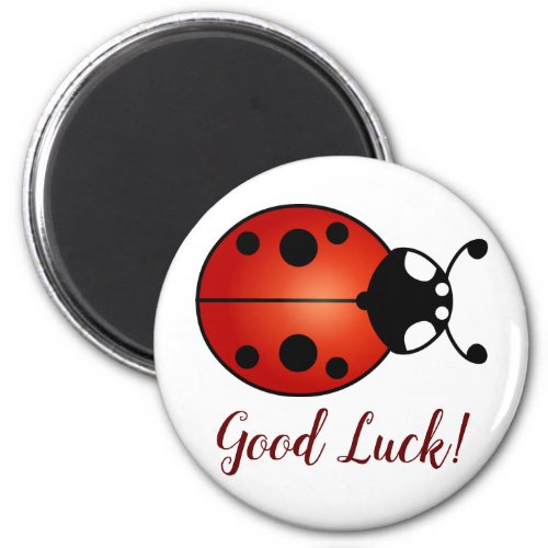 Lucky Ladybug Red Orange Black Ladybird Good Luck Magnet