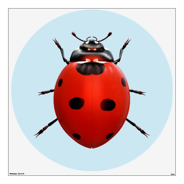 Lucky Ladybug Wall Decal (Front)