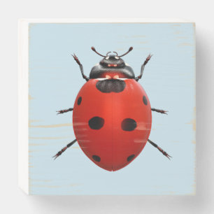 Lucky Ladybug Wooden Box Sign