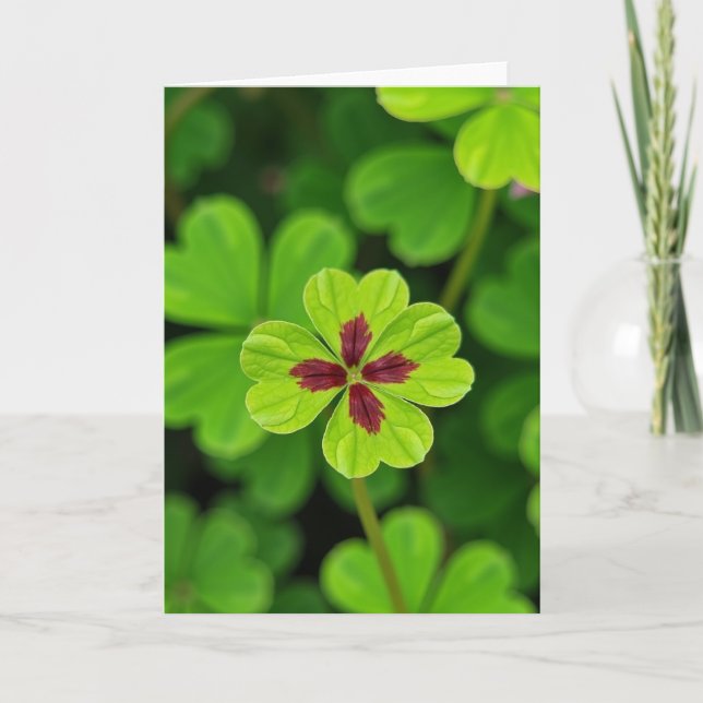 Lucky Leaf Green Maroon Clover Card (Front)