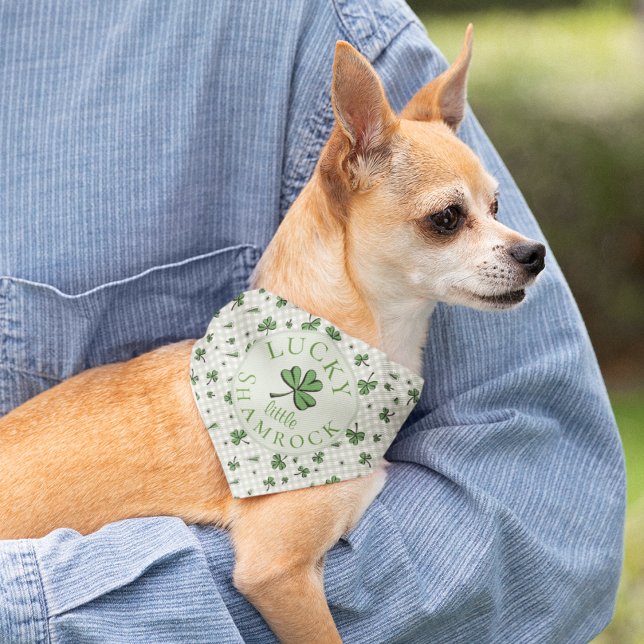 Lucky Little Shamrock St Patricks Day Bandana (Cute Lucky Little Shamrock St Patricks Day Bandana for Child/Pet. Hand Drawn Green Clovers & Hearts)
