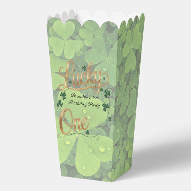 Lucky One 1st. Birthday Party  Favor Boxes (Front)