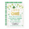 Lucky One Baby First Birthday St Patrick's Day