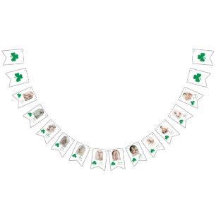 Lucky One Baby Monthly Milestone Photo Bunting Flags