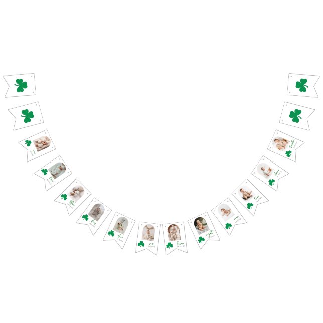 Lucky One Baby Monthly Milestone Photo  Bunting Flags (All)