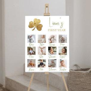 Lucky One Boy First Year Milestone Photo Poster