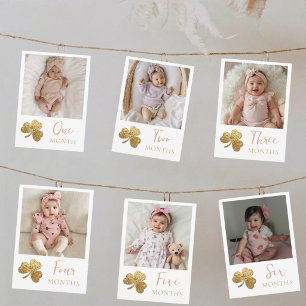 Lucky One First Birthday Monthly Photo Banner Holiday Card