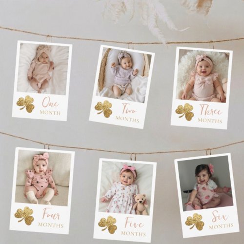 Lucky One First Birthday Monthly Photo Banner Holiday Card