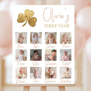 Lucky One First Year Photo Collage Milestone Foam Board