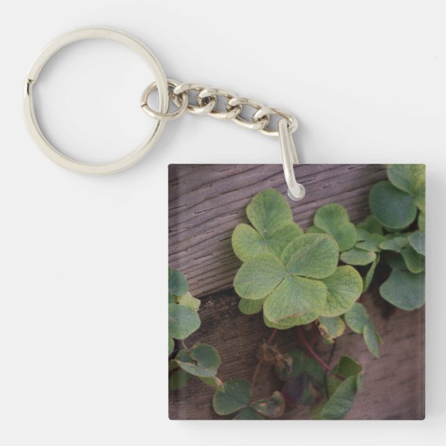 Lucky or Determined? Saint Patricks Day Shamrocks Keychain (Front)