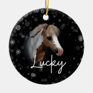 Lucky Ornament