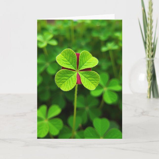 Lucky Plant Photo Card (Front)