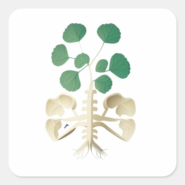 Lucky Shamrock St Patrick's Day Square Sticker (Front)